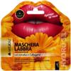 SetaBlu Maschera Labbra con estratto di Calendula e Collagene