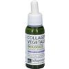 Collagene LA Saponaria La Saponaria Collagene Vegetale 30 ml Siero