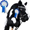 Hobby Horse Land A3 Pie Noir Black Diamond con rete glitterata, cavallo bianco e nero con flot, per bambini e ragazzi