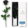 Mia Milano Infinity Rose Nera con Gambo (Durata 3 Anni) in Scatola Regalo | Regalo Decorativo per lei | Fiore conservato con Profumo di Rosa | Inclusa Cartolina Regalo