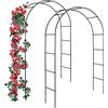 Forever Speed Arco per rose da giardino, traliccio per rose in acciaio verniciato a polvere, decorazione e decorazione da giardino, resistente alle intemperie, verde (2 pezzi)