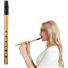 Plipdhy Fischietto Irlandese Tin Whistle in Alluminio - 6 Fori, Tono D, Suono Chiaro e Piacevole, per Principianti e Amanti della Musica, con Custodia Protettiva Inclusa