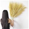 YiYa 6 Pcs Erba di Pampa Decorativa 113cm Decorazione Pampas Secca Grande Fiori Secchi Decorativi per Vaso per Soggiorno, Casa, Pavimento, Vaso, Decorazione Boemia(Oro)