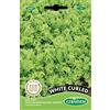 Germisem White Curled Semi di Cicoria 4 g