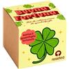 Resetea Buona Fortuna - Kit di Coltivazione Trifoglio a 4 Foglie Foglie Oxalis Deppei - Coltiva il Tuo Amuleto Naturale a Casa - Regalo Originale di Fortuna - Facile e Decorativo