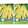 Germisem Rocquencourt Semi di Fagioli Francesi 100 g (Confezione da 2)