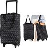 Aieino 23L Carrello Portaspesa Pieghevole - Termico Carrello Spesa con 2 Ruote Leggero Borsa della Spesa, Fino a 20 kg di Carico, Manico Estensibile, Resistente all'acqua - Nero