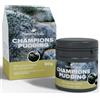 NatureHolic - ChampionsPudding Cibo per gamberetti I Cibo Premium per invertebrati I Solo Il Meglio per i Campioni I Prodotto Delicatamente I Made in Germany I 50ml