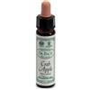 SANTIVERI AINSWORTHS CRAB APPLE 10ML