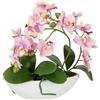 Flair Flower Orchidea Artificiale in Ciotola, 27 cm, Fiore Artificiale, Orchidea Artificiale Phalaenopsis con Vaso per Piante Artificiali, Decorazione per Matrimoni, Farfalla Phalaenopsis, Fiori di Seta,