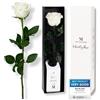 Mia Milano Infinity Rose bianca con gambo (durata 3 anni) in scatola regalo | Regalo decorativo per lei | Fiore conservato con profumo di rosa | Inclusa cartolina regalo