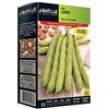 Semillas Batlle Batlle - Semi di fava