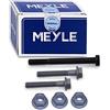 MEYLE Kit montaggio, Braccio oscillante 1006540000 Compatibile con: AUDI A4 B5, A4 B5 Avant, A4 B6, A4 B6 Avant, A4 B6 Cabriolet, A4 B7, A4 B7 Avant, A4 B7 Cabriolet, A6 C5, A6 C5 Avant, A8 D2
