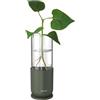Fiskars Urban Plant Care Vaso da Coltivazione per Talee, Altezza 16,5 cm, Vetro di Alta Qualità e Supporto Metallico Stabile, Verde Oliva, 1080911