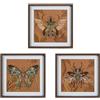 DRW Set di 3 quadri tela con cornice in legno di insetti in marrone e blu, 40 x 40 x 3 cm