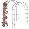 Forever Speed Arco per rose da giardino, traliccio per rose in acciaio verniciato a polvere, decorazione e decorazione da giardino, resistente alle intemperie, colore nero (2 pezzi)