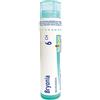 BOIRON Srl Bryonia alba boi*6ch 80gr 4g - BOIRON - 046427050