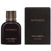 Dolce & Gabbana Pour Homme Intenso eau de parfum 200 ML spray vapo