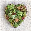 the art group Howard Shooter succulente, a Forma di Cuore su Tela, 40 x 40 cm, Motivo: Impronte, Colore: Multicolore