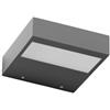 Linea Light Regolo applique biemissione 15 cm