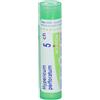 Boiron Hypericum Perforatum 5CH Granuli Tubo