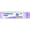 boiron Chelidonium majus 30ch 80gr 4g