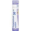 boiron Phosphoricum acidum 30ch 80gr