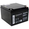 Quality Batteries Batteria di ricambio per Panasonic LC-XC1228P 12V 30Ah AGM batteria resistente al ciclo