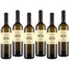 Casale Del Giglio Satrico 2025 Lazio Igt 75 cl 6 Bottiglie