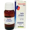 BOIRON Srl Angelica Archangelica TM Boiron 60ml