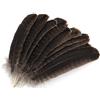 MWOOT 10pcs Piume di Fagiano, 20-30cm Colore Naturale morbide Piume, Ideale per Carnevale, Artigianato, bricolage, Abbigliamento, Costumi Indian Decorazione