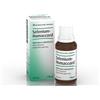 BIOLOGISCHE HEILM. HEEL GMBH SELENIUM HOMACCORD*OS GTT 30ML
