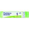 BOIRON Srl PHYTOLACCA*DEC.Tubo 5CH