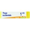 BOIRON Srl Boiron Thuya Occidentalis MK Globuli Tubo