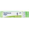 BOIRON Srl SAMBUCUS NIGRA*5CH 80GR 4G