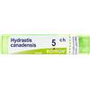 BOIRON Srl BO.HYDRASTIS CANADENSIS*5CH 80