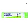 BOIRON Srl Boiron Crataegus Oxyacantha 5CH Granuli Tubo