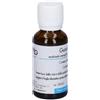 GUNA SpA INTERLEUKIN 4 4CH 30ml Gtt
