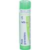 BOIRON Srl RUTA GRAVEOLENS*5CH 80GR 4G