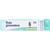 BOIRON Srl BO.RUTA GRAVEOLENS*6CH 80GR 4G