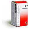 DR.RECKEWEG & CO. GmbH Reckweg Imo R7 Medicinale Omeopatico 100 Compresse 0,1 g