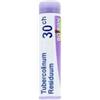 BOIRON Srl TUBERCOLINUM RESIDUUM 30CH GL