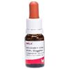 WALA ITALIA Srl Wala Levisticum Gocce Otologiche Medicinale Omeopatico 10 ml