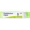 BOIRON Srl CHELIDONIUM MAJUS*5CH 80GR 4G