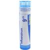 BOIRON Srl Boiron Influenzinum 9CH Globuli Tubo