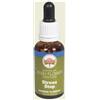 BUSH BIOTHERAPIES Pty Ltd Bush Flower Essences Fiori Australiani Stress Stop Gocce 30 ml