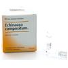 GUNA SpA Guna Heel Echinacea Compositum S Soluzione Iniettabile 10 Fiale