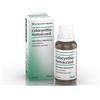 BIOLOGISCHE HEILM. HEEL GMBH COLOCYNTHIS HOMAC Gtt 30ml