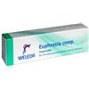 WELEDA ITALIA Srl WELEDA Euphrasia Compositum UNGUENTO OFTALMICO 5G