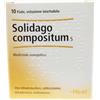 GUNA SpA Guna-Heel Solidago Compositum S Medicinale Omeopatico 10 Fiale